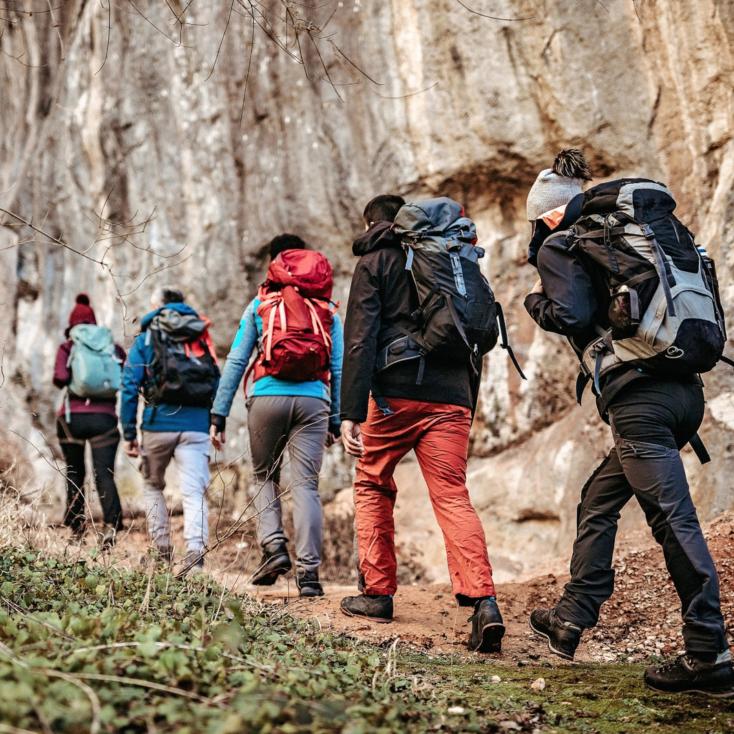 Group of hikers with backpacks walking on a trail in a forest.